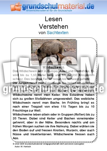 Wildschwein - Sachtext.pdf